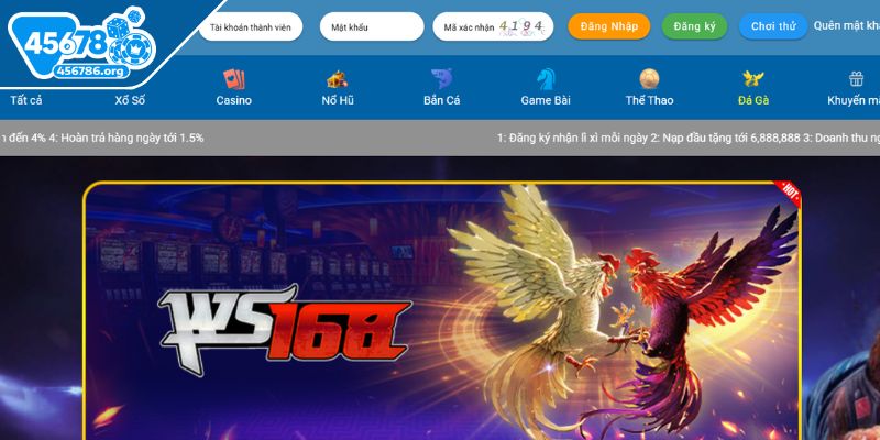 da-ga-45678-tong-quan